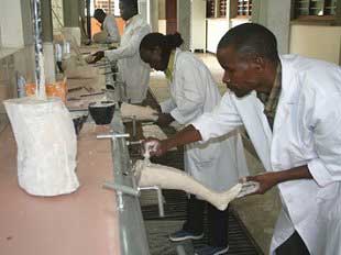 BSc 4th Year, orthotic rectification