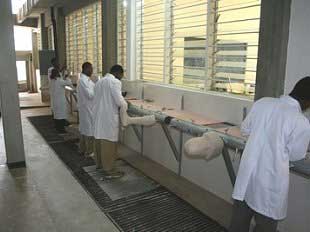 BSc students working in the area